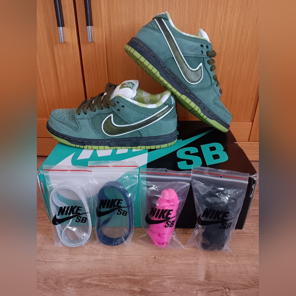 Nike SB Green Sneakers with Extra Laces